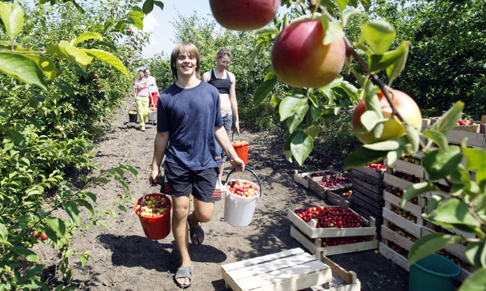 АПК как национальная идея. Способны ли аграрии юга накормить страну в условиях эмбарго? АПК как национальная идея. Способны ли аграрии юга накормить страну в условиях эмбарго?